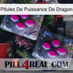 Dragon Power Pills 01